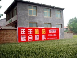 永胜如何让墙体广告展现最大化效果