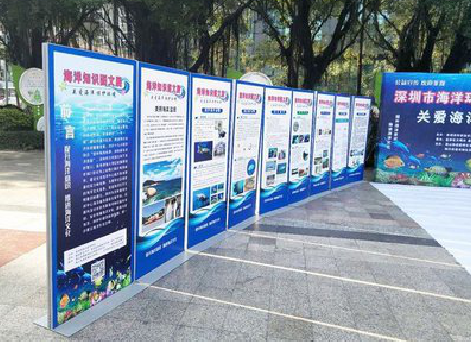 永胜KT板的种类和知识。